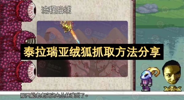 泰拉瑞亚绒狐怎么抓？实用方法整理