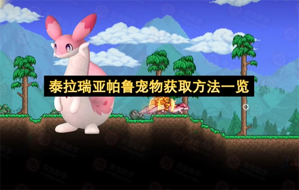 泰拉瑞亚帕鲁宠物获取全攻略