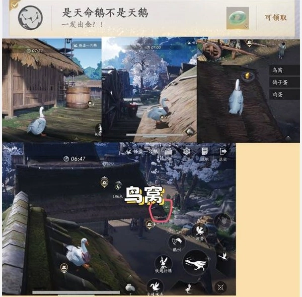 《燕云十六声》里怪盗一只鹅的9个成就达成方法是什么？