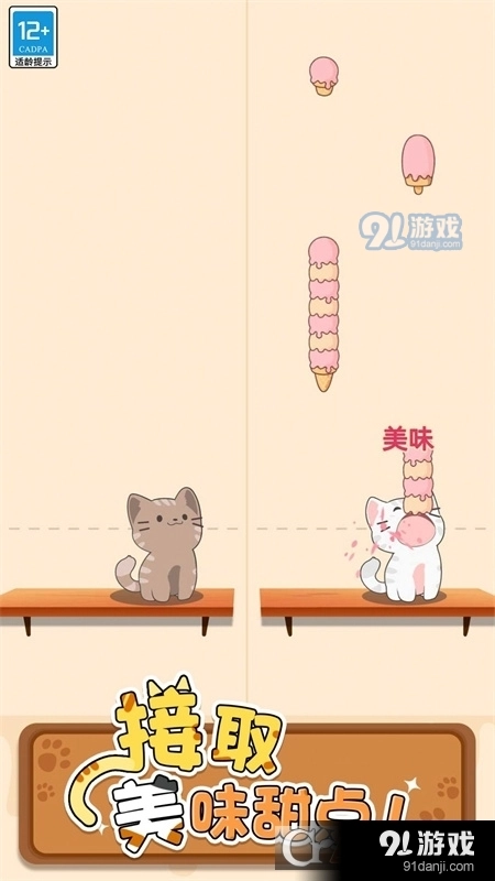 萌猫爱音乐直装版