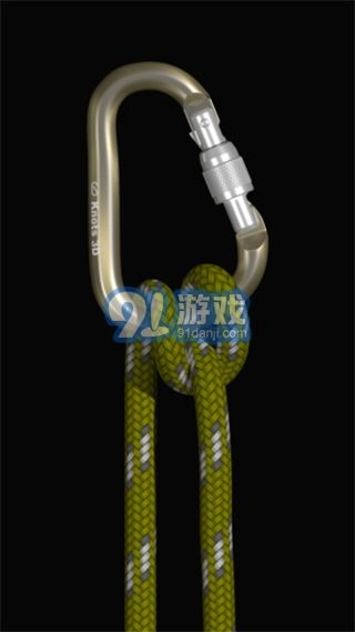3d绳结手机免费版图2