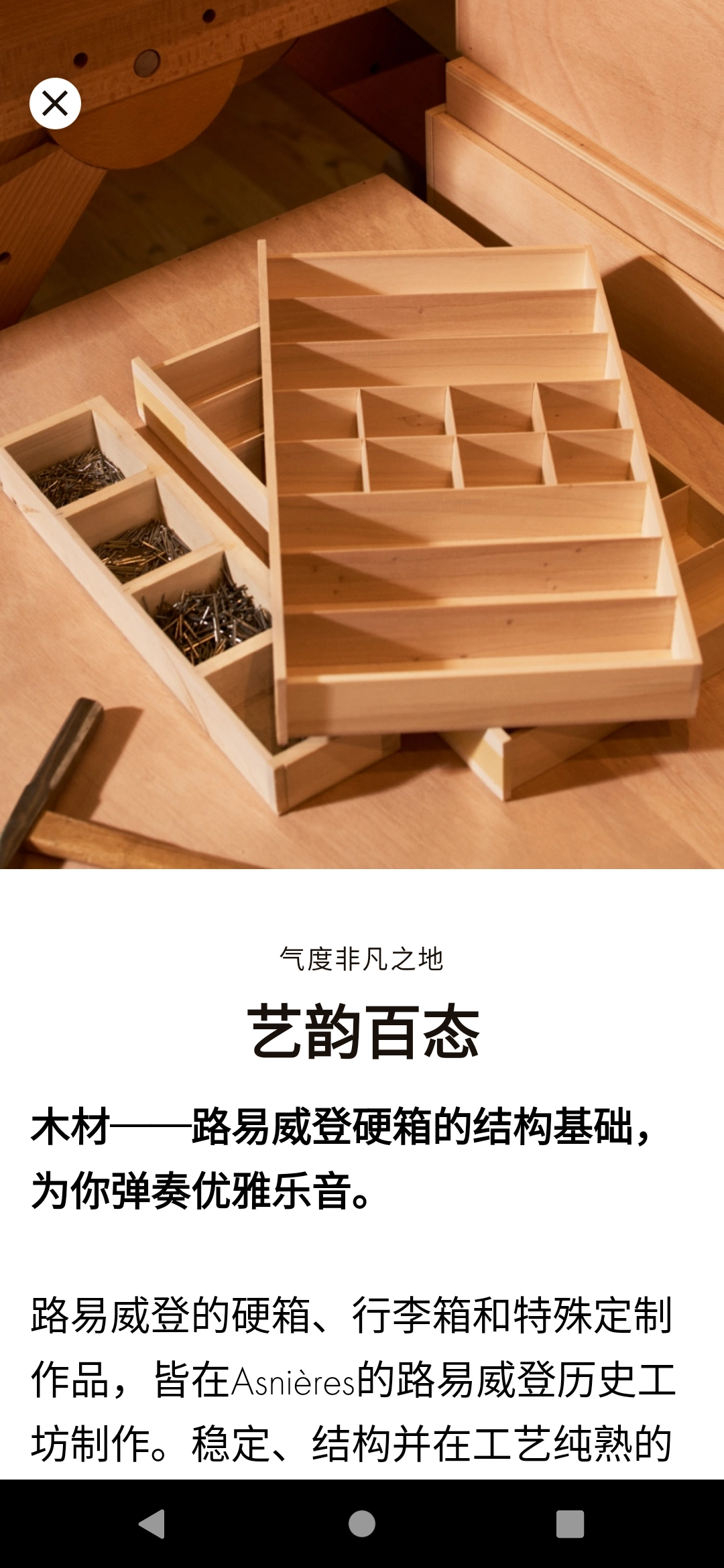 Louis无广告版图2