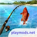 超真实钓鱼模拟器中文版