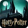 哈利波特霍格沃茨之谜原版