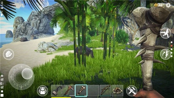 最后的海盗岛屿生存安卓直装版