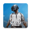 pubg地铁逃生2026通用版