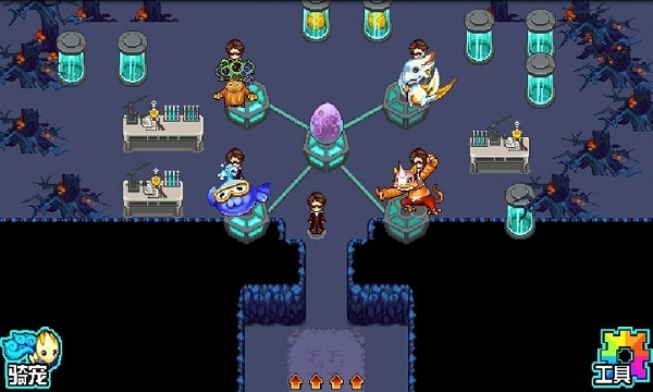 宠物王国5彩虹上帝版最新版手机下载