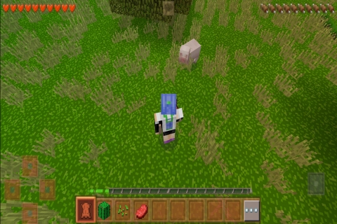 生存战争2枪械黑蝎版