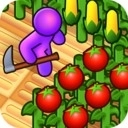 梦幻农场小花园直装版