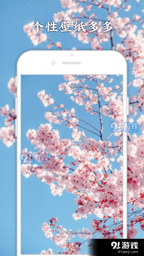 今日壁纸安卓版图2