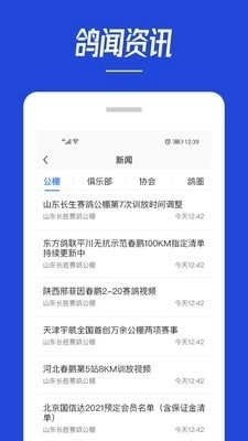 青鸽网直装版图1