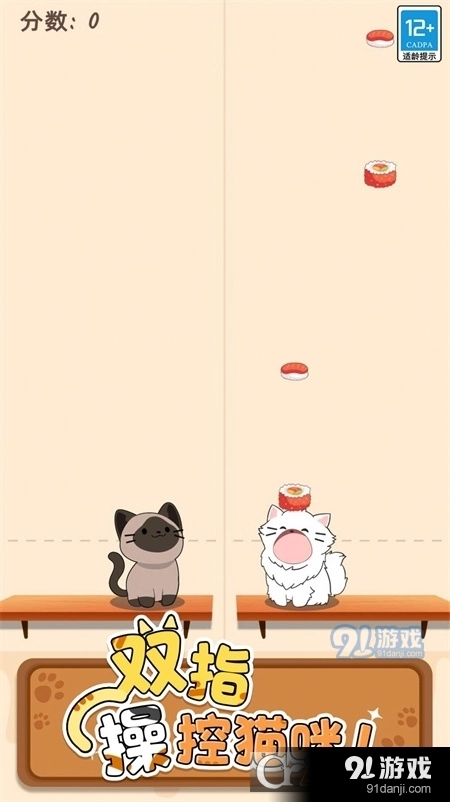 萌猫爱音乐直装版