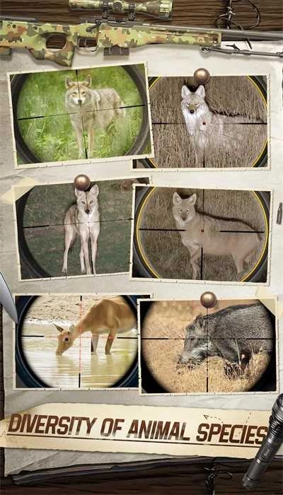 狩猎狙击手3D游戏官方最新版图4