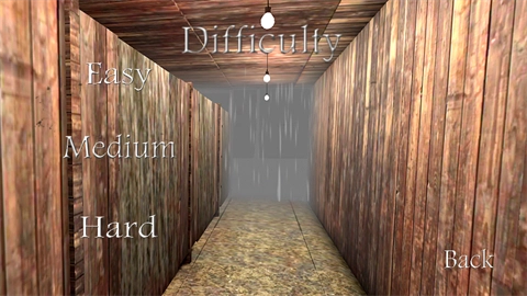 兰德里纳河的森林雨天手机版图4