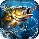 天天爱钓鱼直装版