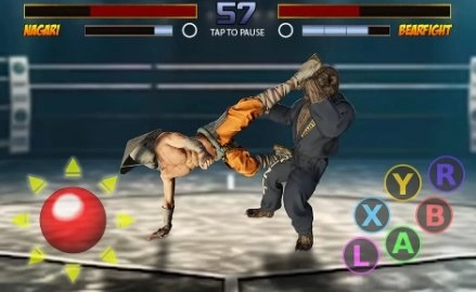 功夫格斗空手道打击直装版图1