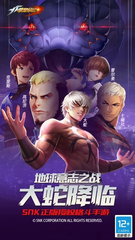 拳皇命运游戏最新版图1