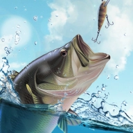 垂钓大师最新版