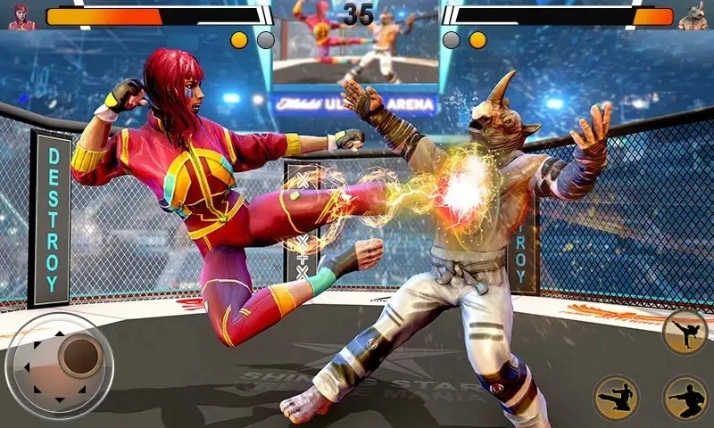 功夫格斗大师手游版图4