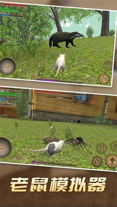 真实老鼠模拟游戏官方版图1