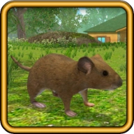 真实老鼠模拟游戏官方版