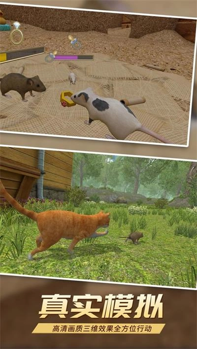 真实老鼠模拟游戏官方版图3