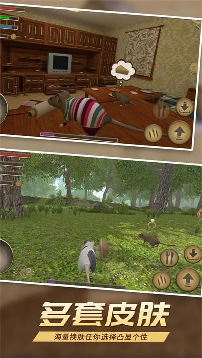 真实老鼠模拟游戏官方版图2