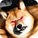 后室肌肉柴犬安卓官方版