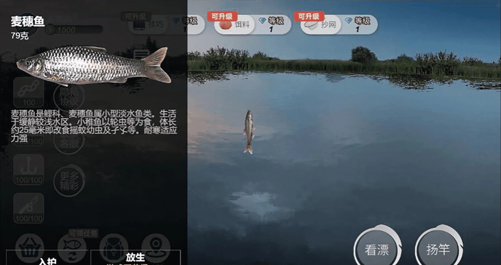 钓鱼绝不空军安卓免费版图4