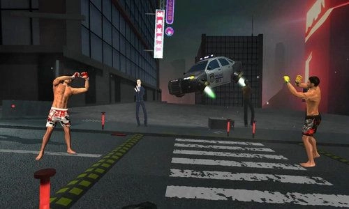 综合格斗新星游戏纯净最新版图3