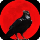 乌鸦之霜官方正版