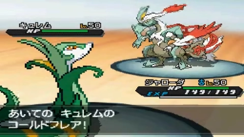 口袋妖怪黑2手游免费版图3