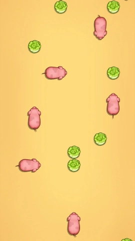 拱白菜安卓免费版图3