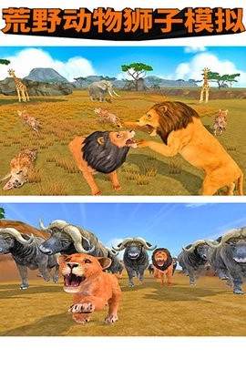 荒野动物狮子模拟官方最新版图3