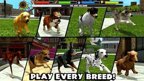 流浪狗模拟免费原版图1