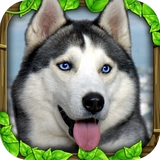 流浪狗模拟免费原版