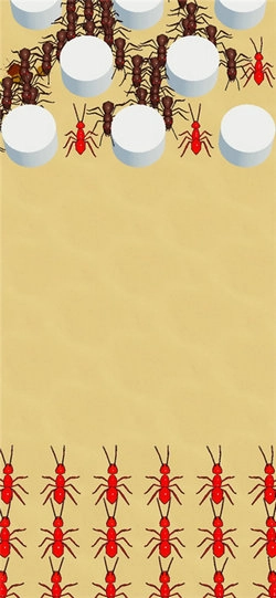 指挥蚂蚁游戏绿色版图4