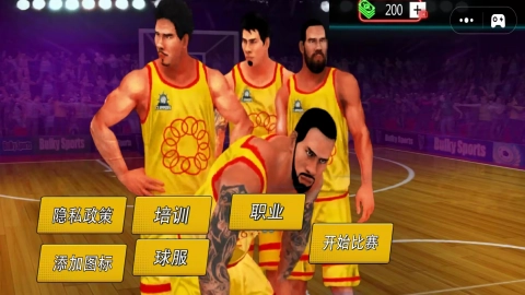 篮球终极高手游戏无广告版图3