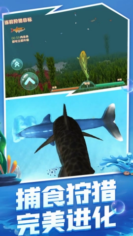 海洋霸主进化记游戏无广告版图3