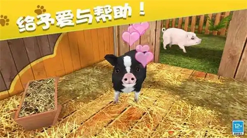 我的动物王国官方版图2