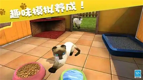 我的动物王国官方版图3