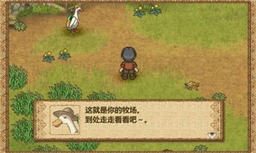 欢迎来到绵羊村最新版