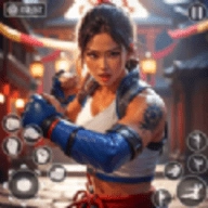 街头功夫3D最新免费版