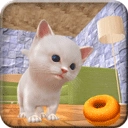 疯狂的凯蒂猫安卓直装版