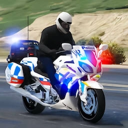 警察捉小偷无广告版