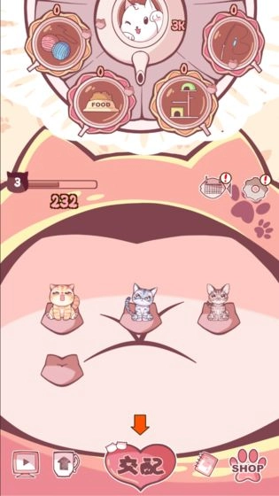 云撸猫咪原版图3