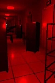 误入后室免费版图3