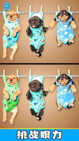 找找找不同手机版图2