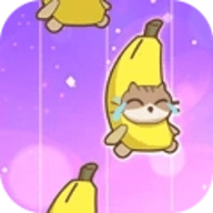 我是音乐家直装版