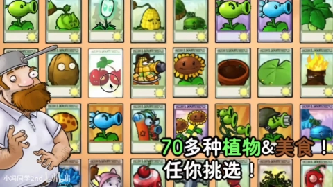 植物大战僵尸时空之乱游戏无广告版图3